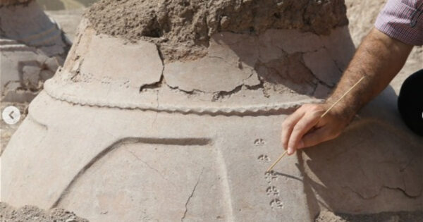 image-dkfksdfkksdkjpg-1769156551