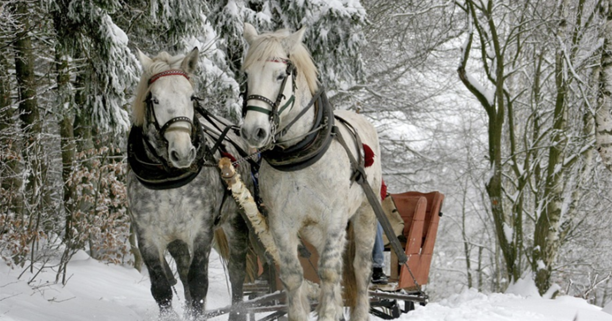 Yanvarın son günü hava necə olacaq? 1 image-hava