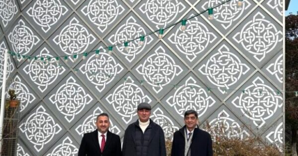 image-media-6-684-ltya8hfrie4j0s9qx5u1-620x460