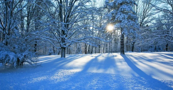 XƏBƏRDARLIQ: Güclü qar fırtınası Azərbaycana doğru gəlir 42 image-qar_oxu24_1768641803