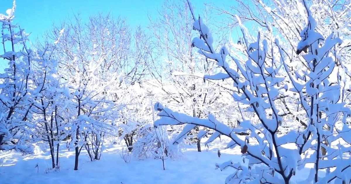 Bu tarixdə Azərbaycana qar YAĞACAQ — RƏSMİ AÇIQLAMA 1 image-qar